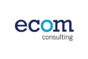 ecom Consulting